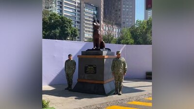 El perrito rescatista murió en febrero del 2024