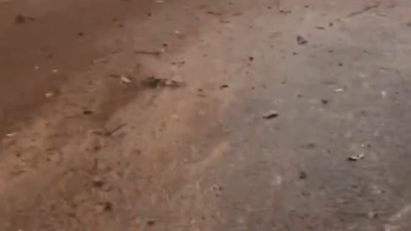 Fuertes lluvias provocan deslave en la México-Toluca