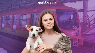 Establece cómo deben viajar los animalitos en el Metro y Metrobús