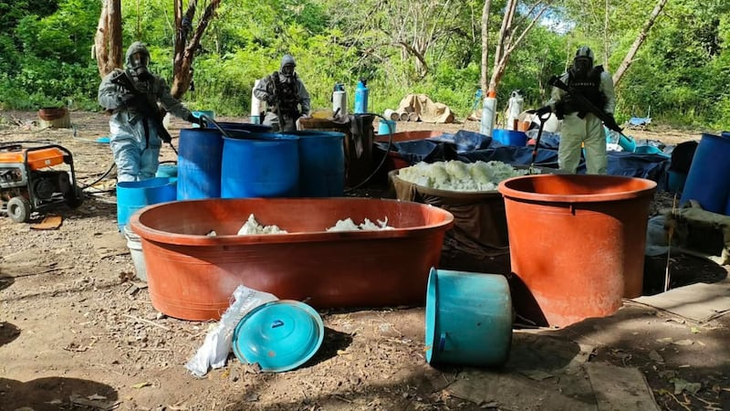 Autoridades desmantelan 4 narcolaboratorios en Guerrero y Michoacán, informa García Harfuch