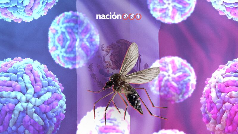 Dengue en México: Casos confirmados y muertes aumentaron durante 2024