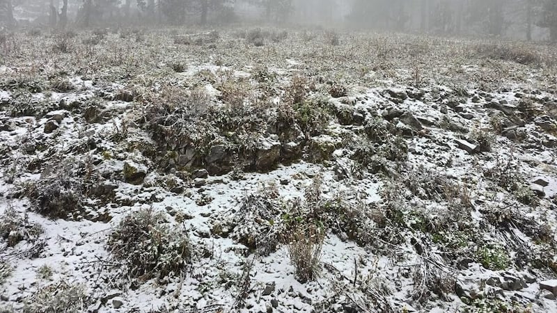 VIDEO| “Chulada”: municipio de Nuevo León se cubre de nieve tras varios frentes fríos