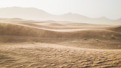 Las concentraciones del polvo se vería en los estados de Campeche, Quintana Roo, entre otros