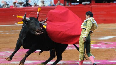 La suspensión es provisional, se debe esperar 48 horas para conocer la resolución