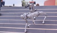 Zacatecas estrena ‘perro robot’ para reforzar la seguridad... está armado con un fusil de asalto