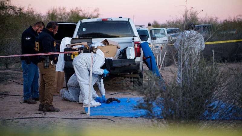 Ola de violencia en Guanajuato deja 5 muertos y el hallazgo de bolsas con restos humanos