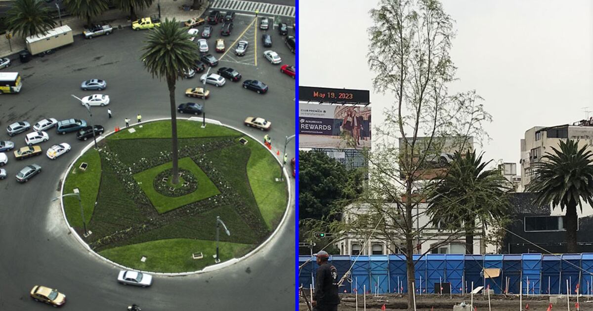 La ruta de la Glorieta de la Palma a la del Ahuehuete en la CDMX ...