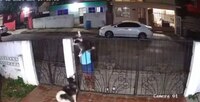 Mujer roba a perrito en Tamaulipas; lo vende en 200 pesos