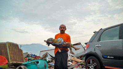 Las imágenes hablan por sí mismas