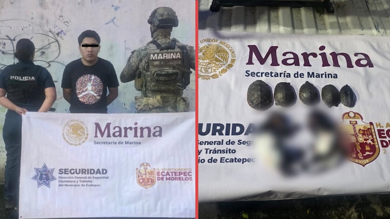 Cae sujeto con restos de crías de mono y tortugas; iban a ser usados para rituales de santería