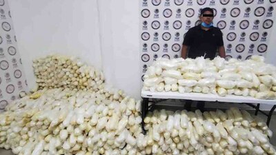 Así es como traían la droga entre un cargamento de cebollas