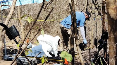 Personal de investigación intervino el predio durante más de tres semanas