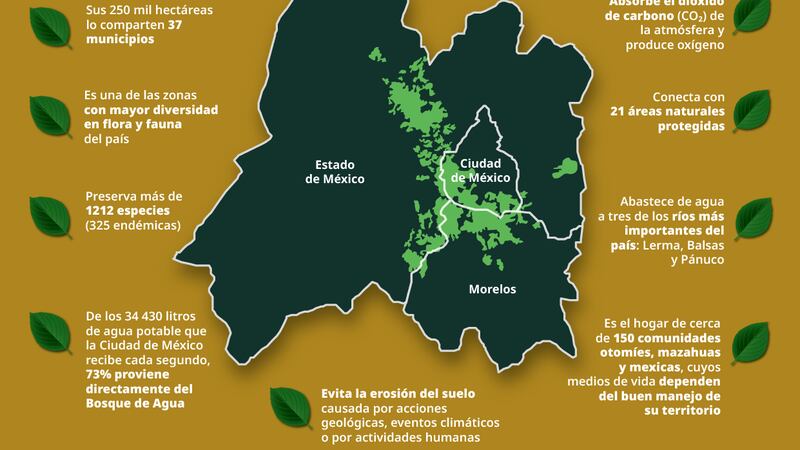 CDMX, Edomex y Morelos se suman a Semarnat para blindar el Bosque de Agua contra tala clandestina