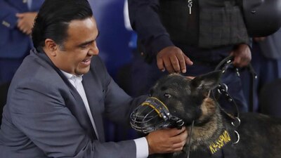 Payler y Rayder, cumplieron con 6 años de servicio en la unidad K-9