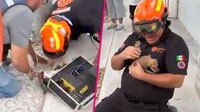 VIDEO: Rescatan a perrito atorado durante 3 días en el drenaje de Monterrey