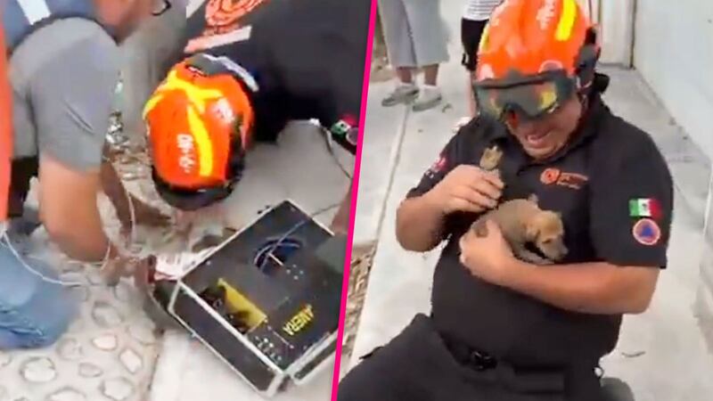 VIDEO: Rescatan a perrito atorado durante 3 días en el drenaje de Monterrey