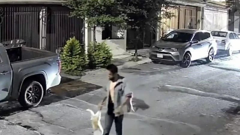 Hombre azota a un perrito hasta causarle la muerte en NL; tenía reportes por violencia