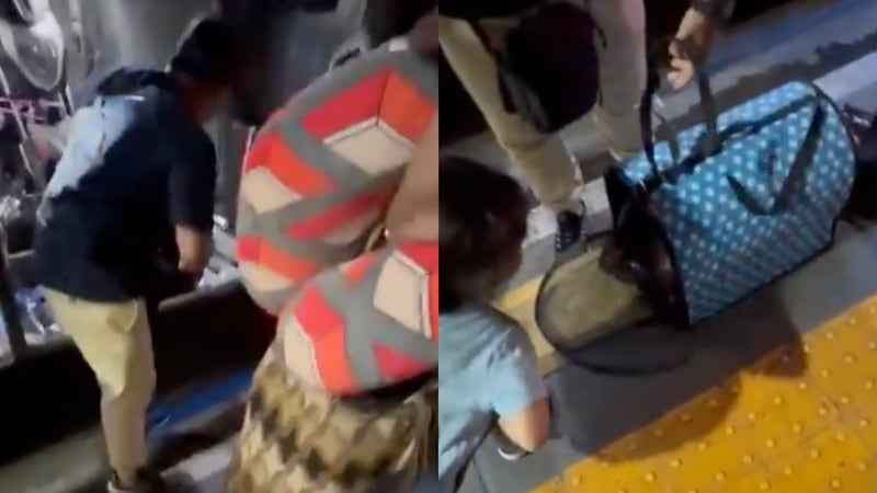 Perrito muere asfixiado tras ser obligado a viajar en maletero de un autobús