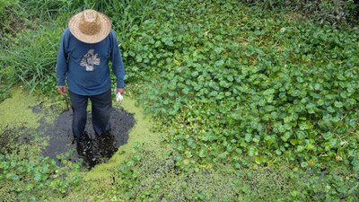 El hombre de 51 años iba a fumigar sus cultivos, pero al hacer el proceso sin seguridad, terminó entubado en un hospital