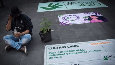 El plantón se instaló en 2020 para pedir la regulación del cannabis