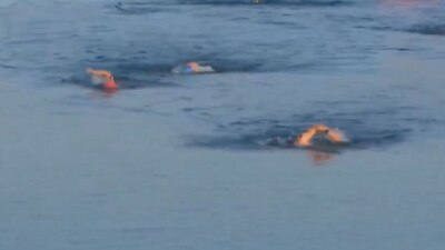 Las actividades de este jueves fueron suspendidas