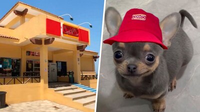 Las tiendas racionan la venta de hielo en esta temporada