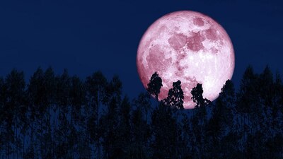 La NASA recomienda visualizar el fenómeno astronómico en azoteas, lejos de luces artificiales