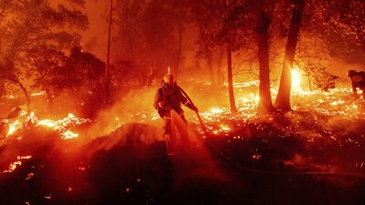 Incendios forestales han destruido gran parte de las zonas boscosas y tropicales del planeta
