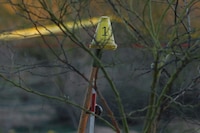 Hallan el cuerpo de joven de 15 años; estaba envuelto en bolsas al fondo de un pozo en NL