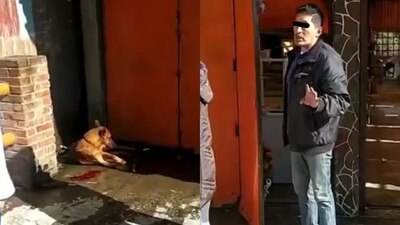 El video de la agresión al perro fue difundido en redes sociales