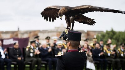 Los aspirantes deberán cumplir con el I.M.C