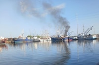 VIDEO: Explota barco camaronero en el Muelle de las Malvinas, en Mazatlán; hay un muerto