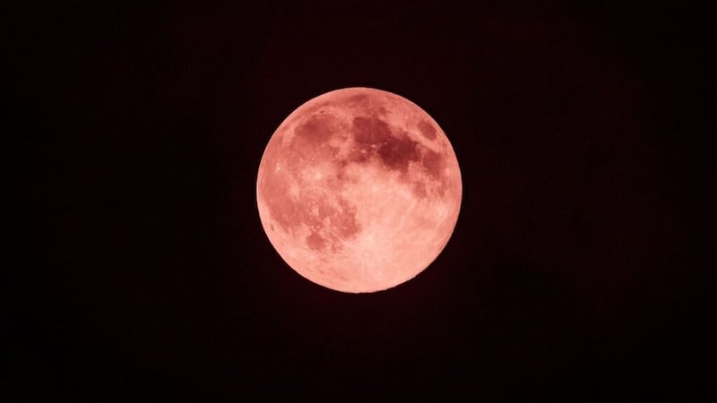 FOTOS: Así captaron la Luna rosa usuarios de redes sociales