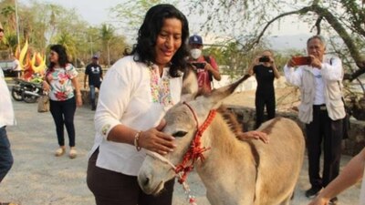El animalito era parte de un 'atractivo turístico' de un restaurante en Acapulco