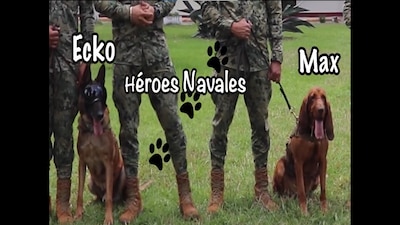 Ecko y Max, también fueron compañeros de Frida en el Rébsamen y en la detención de Caro Quinero