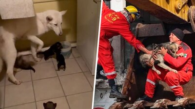 Muchos no quieren ser retirados del lugar