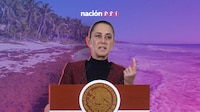 ¿Cuál es el plan de Sheinbaum para combatir el sargazo en playas de Quintana Roo?