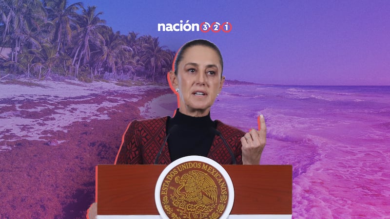 ¿Cuál es el plan de Sheinbaum para combatir el sargazo en playas de Quintana Roo?