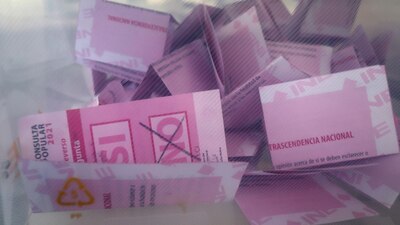 La participación debía alcanzar 40% para ser vinculante