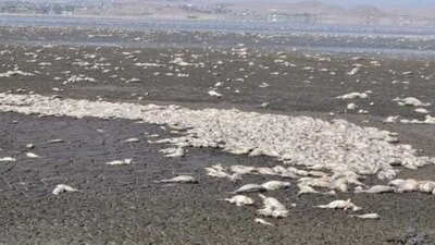 Las autoridades activaron un plan de contingencia