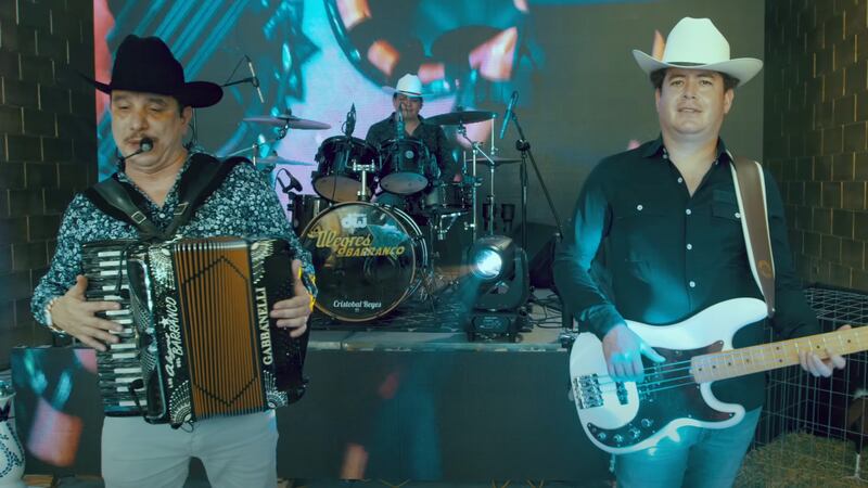 Conceden amparo a los ‘Alegres del Barranco’ para interpretar narcocorridos en Michoacán