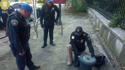 Médicos veterinarios zootecnistas realizarán la valoración del estado de salud de la víbora