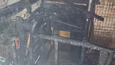 Las casas de los perritos fueron incineradas en cuestión de minutos