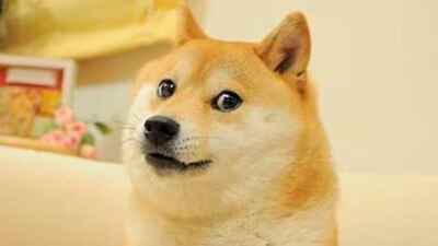 Su dueña Atsuko Sato dio la noticia en sus redes