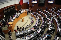 Senadores de Morena, PVEM y PT respaldan ‘plan B’ de la Reforma Electoral de Sheinbaum