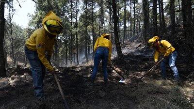 La Conafor detalló que 5 equipos aéreos operan para apagar los incendios