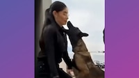 VIDEO: Perrito policía ‘se lanza’ contra Geraldine Ponce, alcaldesa de Tepic y exreina de belleza