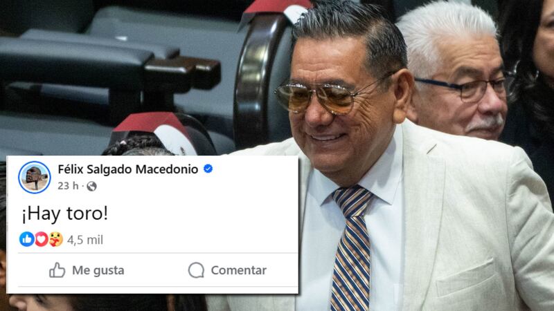 “¡Hay toro!“: Félix Salgado aceptaría candidatura al gobierno de Guerrero... ”si el pueblo lo pide"