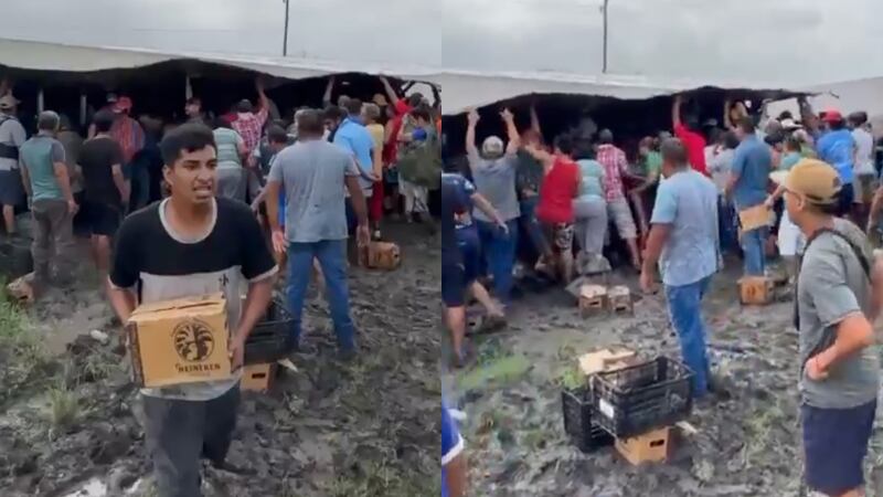 VIDEO: Volcadura de tráiler con cervezas desata rapiña en la carretera Victoria-Monterrey