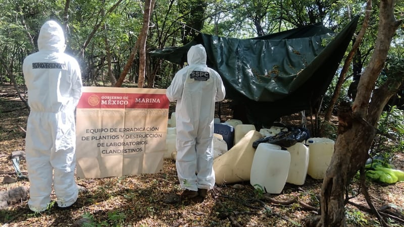 Localizan e inhabilitan narcolaboratorio de metanfetamina de Los Chapitos, en Sinaloa
